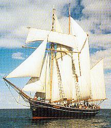 Albatros