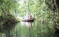 Spreewald