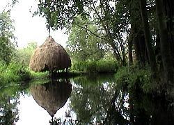 Spreewald