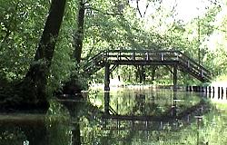 Spreewald
