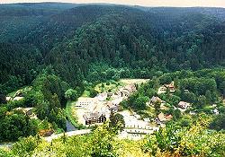 Wei�er Hirsch mit Blick auf Treseburg
