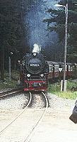 Dampfzug