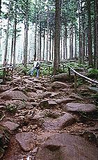 Wanderweg: Brocken - Schierke