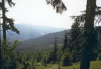 Ausblick auf dem Wanderweg