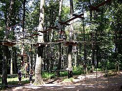 Kletterwald