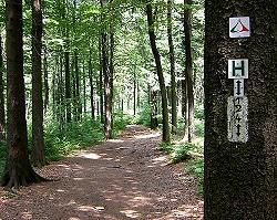 Wanderweg