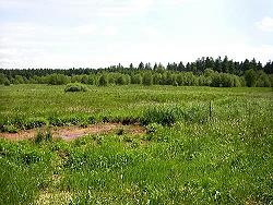 Hochmoor