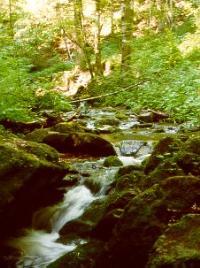 Lotenbachklamm