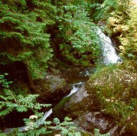 Lotenbachklamm