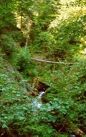 Wutachschlucht