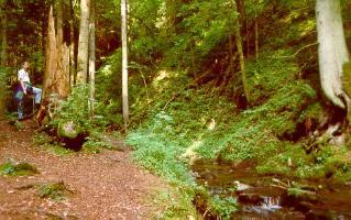 Wutachschlucht