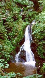 Lotenbachklamm