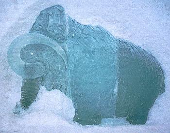 Mammut
