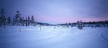 Winterlandschaft