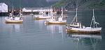 Fischerboote - Zum Vergr��ern bitte klicken!