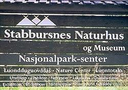 Stabbursdalen