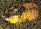 Lemming