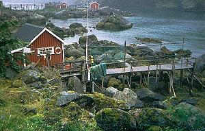 44 Nusfjord / Lofoten - Norwegen