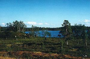 58 Landschaft - Norwegen