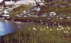 77 Landschaft - Norwegen