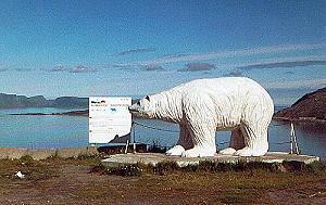 78 Eisb�r / Hammerfest - Norwegen