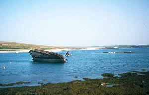 154 Wrack bei Scapa Flow / Orkney Islands - Schottland