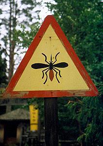 159 Stra�enschild in Finnland
