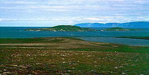 181 Orkney Islands - Schottland