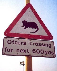 182 Stra�enschild / Orkney - Schottland