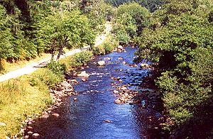 184 In den Highlands - Schottland