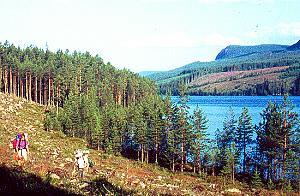 185 Wandern in Dalarna - Schweden