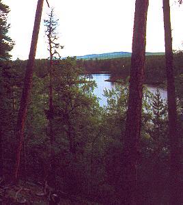 214 In den W�ldern - Finnland