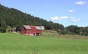 230 Bauernhof - Norwegen