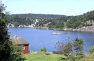 242 Landschaft bei Tvedestrand - Norwegen