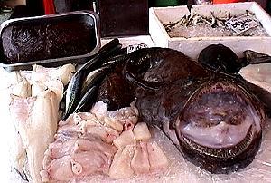 282 Fischmarkt Bergen - Norwegen