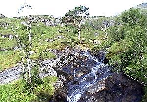 298 Tverrfjell - Norwegen