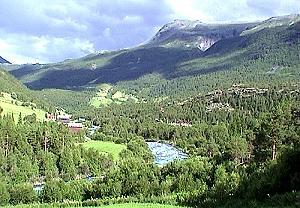 313 H�ydal - Norwegen