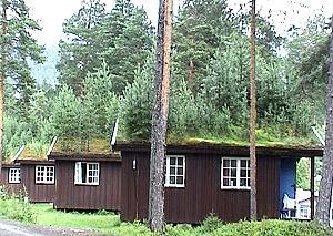 329 Bewachsene Mieth�tten / Leira  - Norwegen