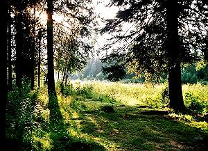 364 Im Atnedalen - Norwegen