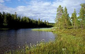 237 Kambergsjoen - Norwegen