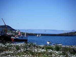 166 In Mehamn - Norwegen