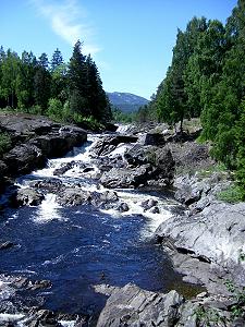 76 Am Skorva - Norwegen